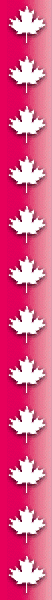 Canadian Maple Leaf